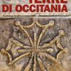 Terre Di Occitania. Tradizioni, Luoghi E Costumi Della Cultura Provenzale In Piemonte. Ediz. Illustrata