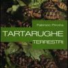 Tartarughe terrestri