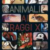 Animali Ai Raggi X