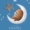 Shapes. Touch & feel. Ediz. illustrata