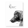 River. Il Cane Nero. Ediz. Illustrata