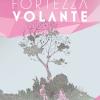 Fortezza volante