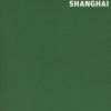 Shanghai. Ediz. inglese