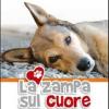 La zampa sul cuore