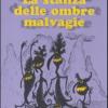 La Stanza Delle Ombre Malvagie