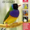 Diamante Di Gould