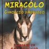 Miracolo. Camoscio D'abruzzo. Storia Di Un Salvataggio Impossibile