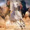 Horses. Breeds And Origins