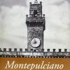 Montepulciano perla del Cinquecento. Ediz. illustrata