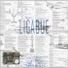 Ligabue (1 Cd Audio)