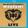 Warpaint Live (1 Blu-ray)