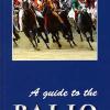 A guide to the palio