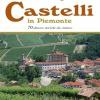 Andar per castelli in Piemonte. 70 dimore storiche da visitare