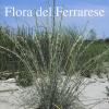 Flora del ferrarese