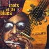Vanguard: Roots Of The Blues