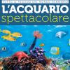 L'acquario spettacolare. Tutto il fascino del mondo sommerxo