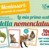 La Mia Prima Scatola Della Nomenclatura. Montessori: Un Mondo Di Conquiste. Ediz. A Colori. Con Gadget