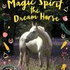 Magic spirit the dream horse