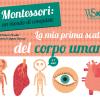 La Mia Prima Scatola Del Corpo Umano. Montessori: Un Mondo Di Conquiste. Con Poster. Con 15 Carte