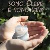 Sono Clere E Sono Viva