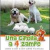 Una Cipolla A 4 Zampe. Storie Di Cani E Gatti Sempre Pi Speciali