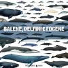 Balene, delfini e focene. Storia naturale e guida alle specie