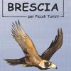 Guida di Brescia per piccoli turisti