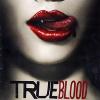 True Blood - Stagione 01 (5 DVD)