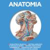 Anatomia