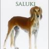 Canis Lupus Familiaris. Saluki