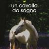 Un cavallo da sogno. Storie di cavalli