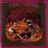Meat Puppets 1