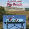 A piccoli passi Big Bench. 50 panchine giganti in Piemonte. Itinerari per tutta la famiglia