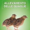 Allevamento Delle Quaglie