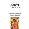 Genesi (capitoli 1-11)