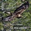 La Mia Aquila. La Regina Alpina Nelle Esperienze Di Un Appassionato Naturalista