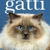 Gatti