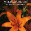 Dolomiten Weltnaturerbe. Pflanzen Und Blumen