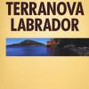 Terranova Labrador