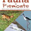 Fauna In Piemonte. Imparare a conoscere e osservare uccelli e mammiferi, dalla montagna alla pianura